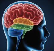 Science Behind Neurological Recovery